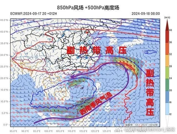 十六號(hào)臺(tái)風(fēng)最新消息，全方位解析與應(yīng)對(duì)策略